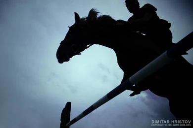 Rider On Horse Jumping   54ka [photo Blog]