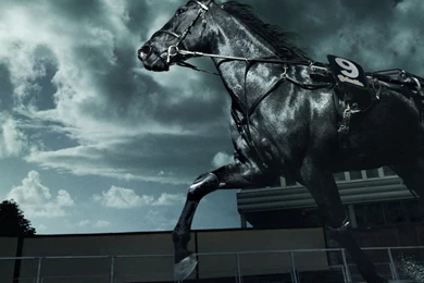 HD Horses Wallpapers   Entertainment Only