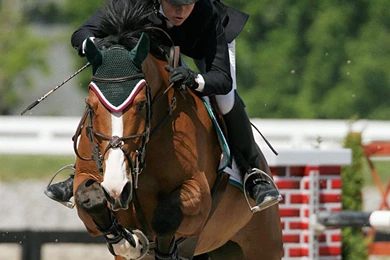 Horse Ride HD Wallpapers