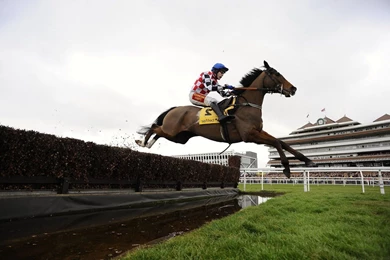 Horse Riding Jumping HD Wallpapers