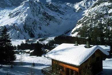 Swiss Honeymoon Wallpapers And Images Wallpapers, Pictures, Photos