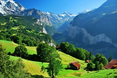 WENGEN SWITZERLAND WALLPAPER   (