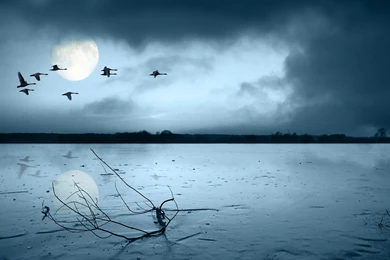 Free 1080p Wallpapers