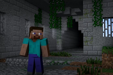 Minecraft Steve By Funcreep On DeviantArt