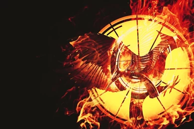 Catching Fire Wallpapers
