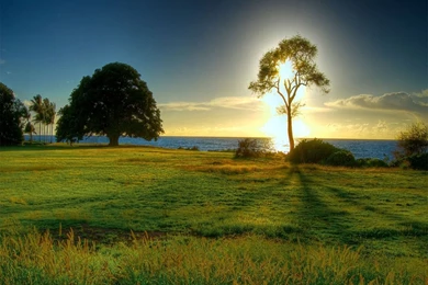 Beautiful Wallpapers   Crazy Frankenstein