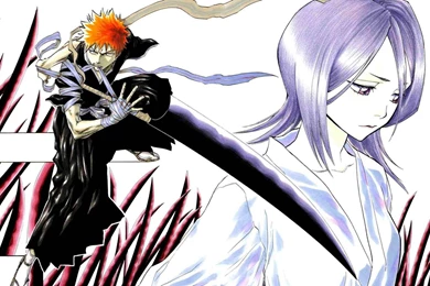 Bleach Kurosaki Ichigo Kuchiki Rukia Anime Hd Wallpapers   (