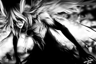 Cool Bleach Wallpapers   Widescreen HD Wallpapers