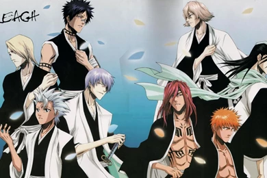 Download Bleach Characters Anime Wallpapers 1920x1080