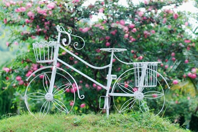 Mood, Bench, Bench, Bench, Bench, Trees, Tree, Leaves, Leaves ...