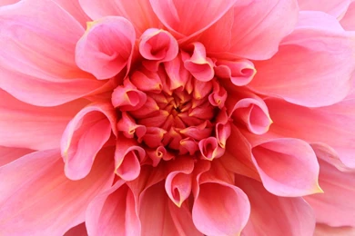 Full Screen Desktop Wallpapers Free Download   1546316