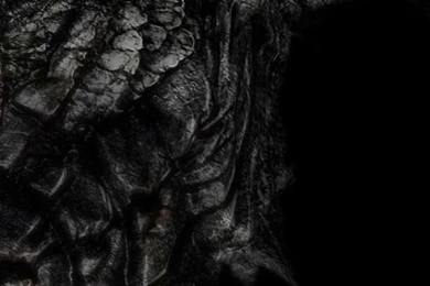 Skyrim Dragon iPhone 5 Wallpapers