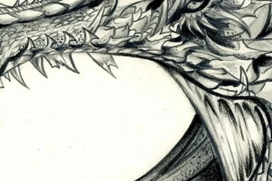 Dragon Drawing iPhone 5 Wallpapers