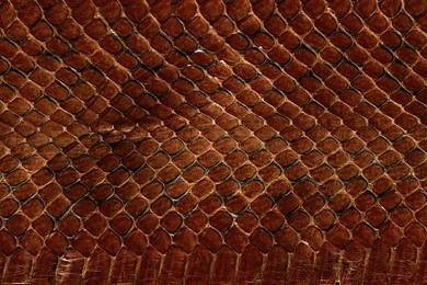 2560x1600 Leather, Texture, Animal Texture, Backgrounds On Your ...