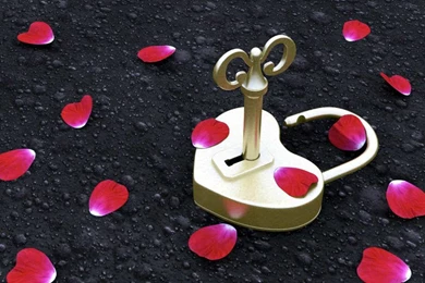 Beautiful Love Pictures Full HD Wallpapers Free Download