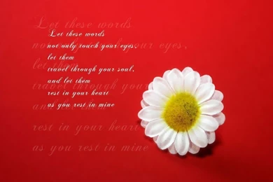 Love Wallpapers   Lovers Point