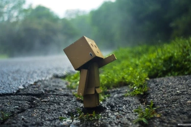 Free Wallpapers   Free Photography Wallpapers   Danboard Wallpapers ...