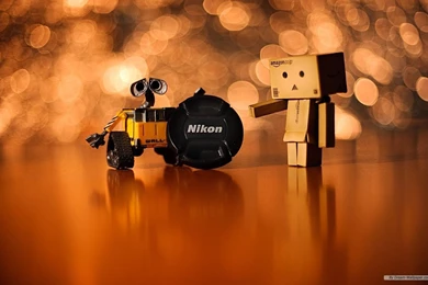 Free Wallpapers   Free Photography Wallpapers   Danboard Wallpapers ...