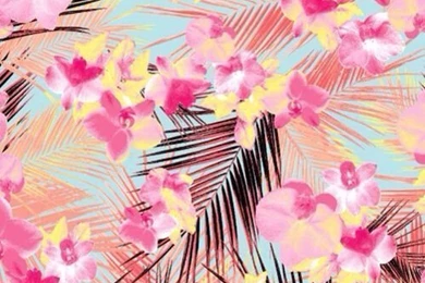 Iphone Wallpapers   Spring