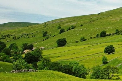 Blue iPhone 5s Wallpapers