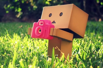 Danboard Wallpapers