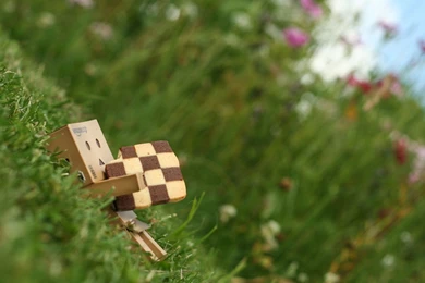 Download Grass Danboard Wallpapers 1920x1200