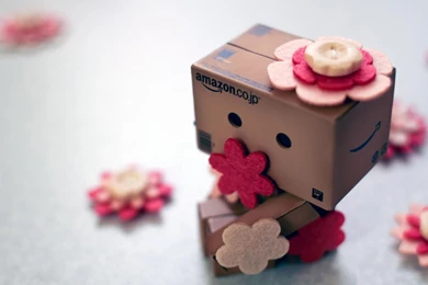 Danboard Wallpapers