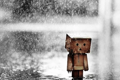 Wallpaper: Wallpapers Danboard