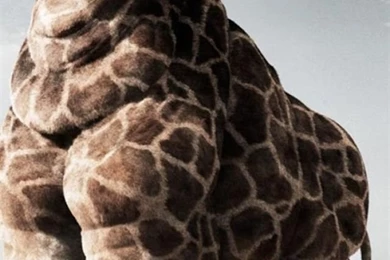 Wallpapers On Pinterest