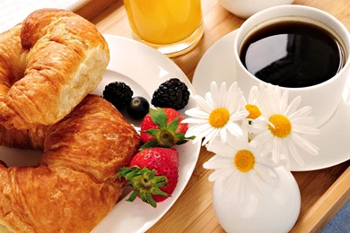 Appealing summer breakfast wallpapers background.jpg