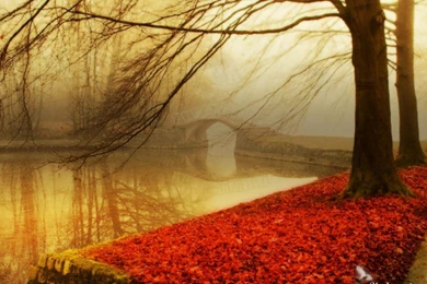 Abstract Hd Wallpapers 1080p Autumn   ImgMob