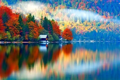 Amazing Fall Colors On The Lake Side Wallpapers
