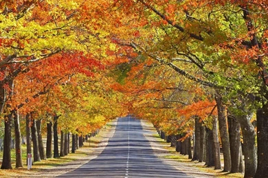 Fall Season Wallpapers   Wallpapers HD Wide