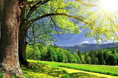 12369) Summer Beach Best Wallpapers   WalOps.com