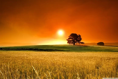 Summer Sunset Wallpapers Full HD [2560x1600]   Free Wallpapers Full ...
