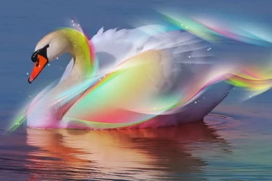 Desktop Wallpapers · Gallery · HD Notebook · Swan Netbook Wallpapers ...