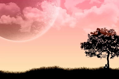 Desktop Wallpapers · Gallery · HD Notebook · Poets 1600x900 Netbook ...