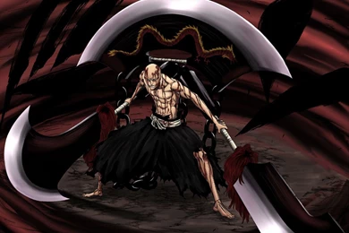 8172 Bleach HD Wallpapers