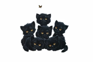 Desktop Wallpaper, Six Black Kittens