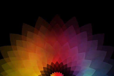 1366x768 Colored Abstract Flower Desktop PC And Mac Wallpapers