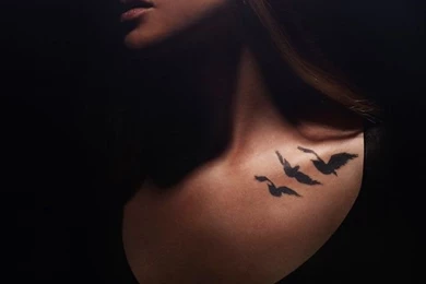 Divergent Shailene Woodley HD Wallpapers   IHD Wallpapers