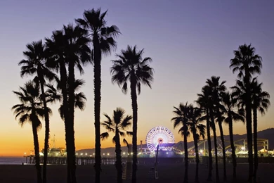 Honeymoon Ideas: Favorite Destinations For Lovebirds   Lovegevity