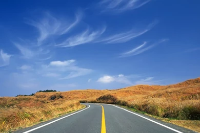 Download Nature Road Cool Desktop Backgrounds HD