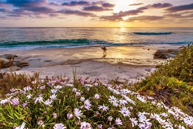 4K Ultra HD California Wallpapers HD, Desktop Backgrounds 3840x2160