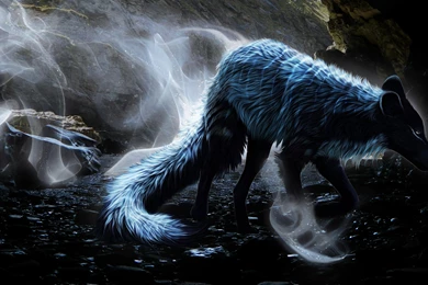 NIGHT WOLF WALLPAPER (