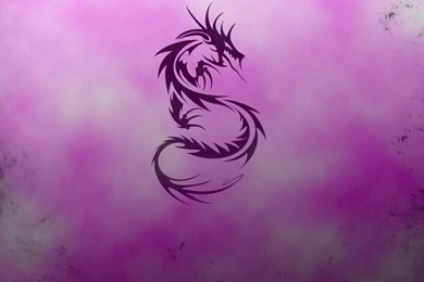 Abstract Asian Dragon HD Wallpapers Wallpapers   (