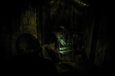 Mushroomhead Official