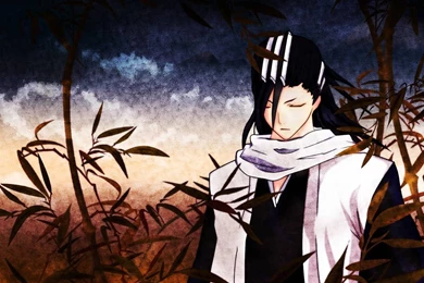 Anime Wallpapers Bleach 89428 Free Download Wallpapers   (
