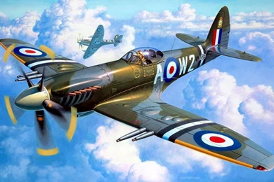 SPITFIRE SKIES WALLPAPER   (