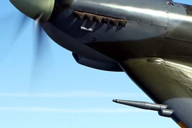 Supermarine Spitfire 640x1136.jpg